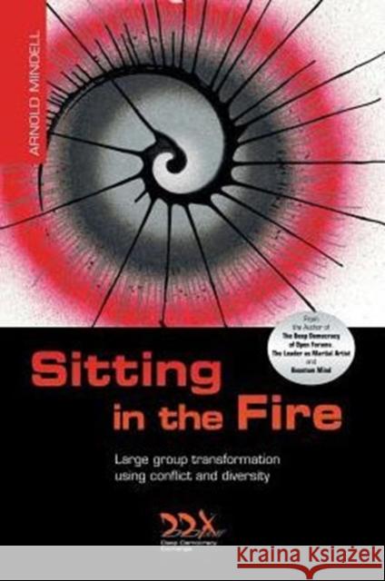 Sitting in the Fire: Large Group Transformation Using Conflict and Diversity Arnold Mindell 9781619710245 Deep Democracy Exchange