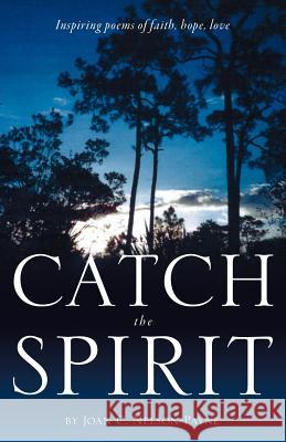 Catch the Spirit Joan C Nelson-Payne 9781619963412