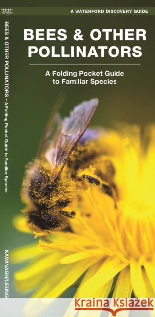 Bees & Other Pollinators: A Folding Pocket Guide to Familiar Species Kavanagh, James 9781620051870