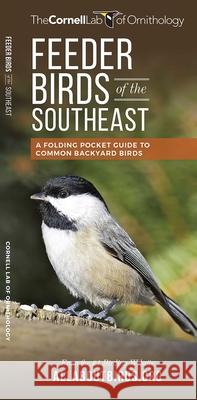Feeder Birds of the Southeast: A Folding Pocket Guide to Common Backyard Birds The Cornel Waterford Press 9781620052181 Waterford Press