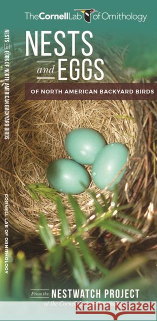 Nests and Eggs of North American Backyard Birds The Cornel Waterford Press 9781620052259 Waterford Press Ltd