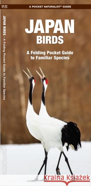 Japan Birds: A Folding Pocket Guide to Familiar Species James Kavanagh Waterford Press 9781620052761 Waterford Press Ltd