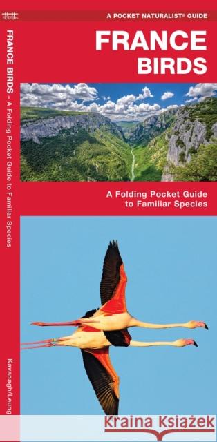 France Birds: A Folding Pocket Guide to Familiar Species  9781620053447 Waterford Press Ltd