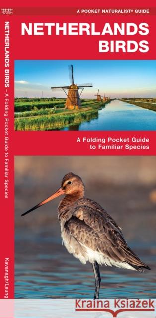 Netherlands Birds: A Folding Pocket Guide to Familiar Species Waterford Press 9781620053478