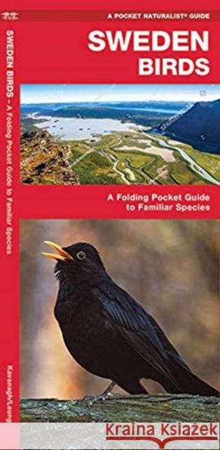 Sweden Birds: A Folding Pocket Guide to Familiar Species Waterford Press Waterford Press 9781620053508 Waterford Press