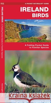 Ireland Birds: A Folding Pocket Guide to Familiar Species James Kavanagh Waterford Press                          Raymond Leung 9781620053539 Waterford Press Ltd