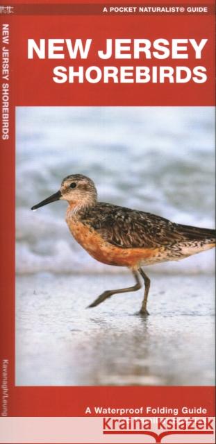 New Jersey Shorebirds: A Folding Guide to Familiar Species James, Waterford Press Kavanagh 9781620055090 Waterford Press Ltd