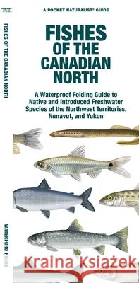 Fishes of the Canadian North Matthew Morris 9781620056042 Waterford Press