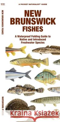 New Brunswick Fishes: A Waterproof Folding Guide to Native and Introduced Species Morris, Matthew 9781620056066 Waterford Press