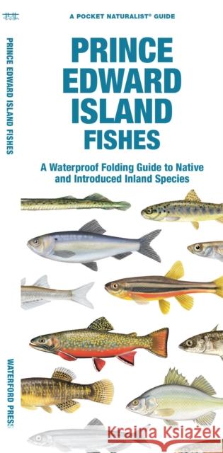 Prince Edward Island Fishes: A Waterproof Folding Guide to Native and Introduced Species Matthew Morris 9781620056097 Waterford Press