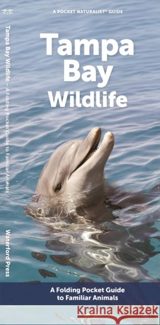 Tampa Bay Wildlife: A Folding Pocket Guide to Familiar Animals Waterford Press 9781620056417 Waterford Press Ltd