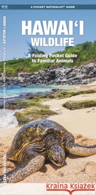 Hawai'i Wildlife: A Folding Pocket Guide to Familiar Animals Waterford Press 9781620056424 Waterford Press Ltd