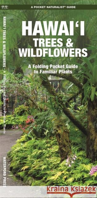 Hawai'i Trees & Wildflowers: A Folding Pocket Guide to Familiar Plants Waterford Press 9781620056431 Waterford Press Ltd