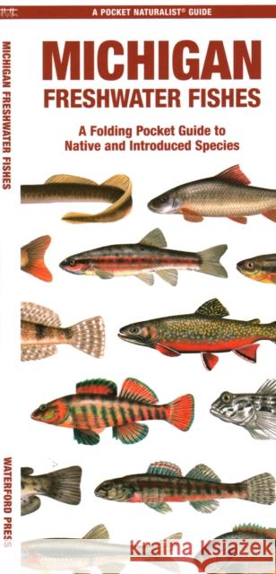 Michigan Freshwater Fishes: A Folding Guide to Native and Introduced Species Waterford Press 9781620056554 Waterford Press