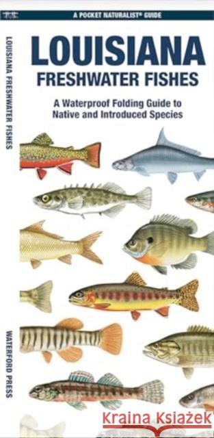 Louisiana Freshwater Fishes: A Folding Guide to Native and Introduced Species Waterford Press 9781620056592 Waterford Press Ltd