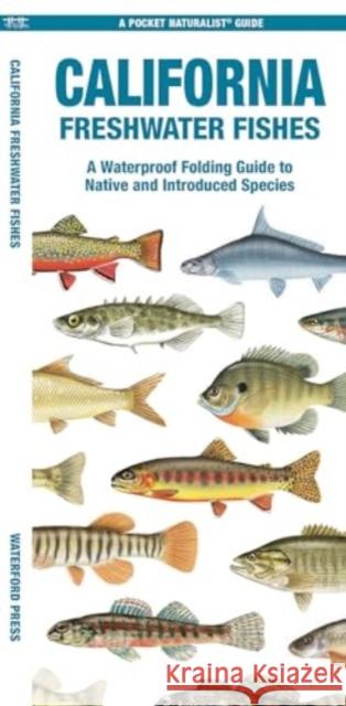 California Freshwater Fishes: A Folding Guide to Native and Introduced Species Waterford Press Waterford Press 9781620056653 Waterford Press Ltd