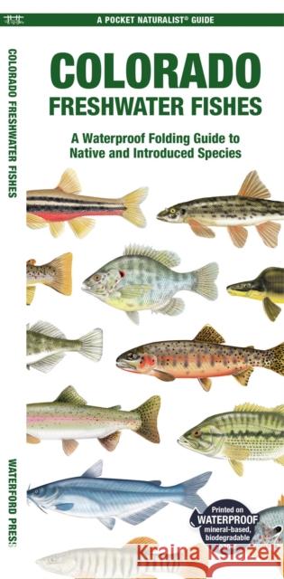 Colorado Freshwater Fishes: A Waterproof Folding Guide to Native and Introduced Species Waterford Press 9781620056677