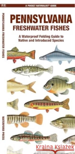 Pennsylvania Freshwater Fishes: A Folding Guide to Native and Introduced Species Waterford Press Waterford Press 9781620056714 Waterford Press Ltd