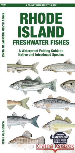 Rhode Island Freshwater Fishes: A Folding Guide to Native and Introduced Species Matthew, Waterford Press Morris 9781620056721 Waterford Press Ltd