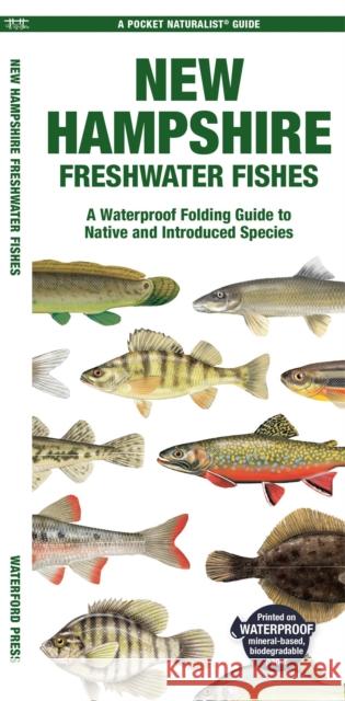 New Hampshire Freshwater Fishes: A Folding Guide to Native and Introduced Species Waterford Press 9781620056813 Waterford Press Ltd