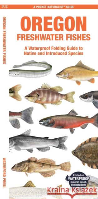 Oregon Freshwater Fishes: A Waterproof Folding Guide to Native and Introduced Species Waterford Press                          Raymond Leung 9781620056820 Waterford Press