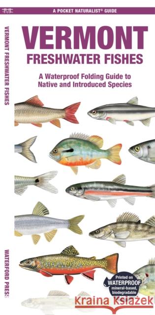 Vermont Freshwater Fishes: A Folding Guide to Native and Introduced Species Waterford Press 9781620056837 Waterford Press Ltd