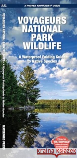 Voyageurs National Park Wildlife: A Waterproof Folding Pocket Guide to Native Species Waterford Press 9781620056998