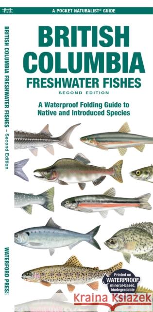 British Columbia Freshwater Fishes: A Folding Guide to Native and Introduced Species Matthew, Waterford Press Morris 9781620057094 Waterford Press Ltd