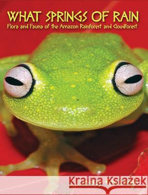 What Springs of Rain: Flora and Fauna of the Amazon Rainforest and Cloudforest Lindsay Erin Lough 9781620061916 Sunbury Press, Inc.