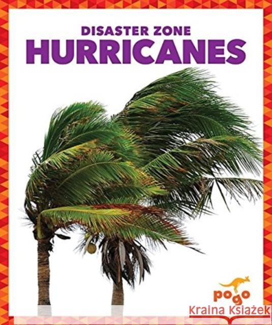 Hurricanes Cari Meister 9781620312216 Pogo