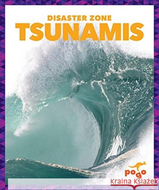 Tsunamis Cari Meister 9781620312261 Pogo