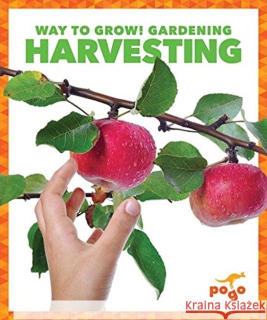 Harvesting Rebecca Pettiford 9781620312308 Pogo