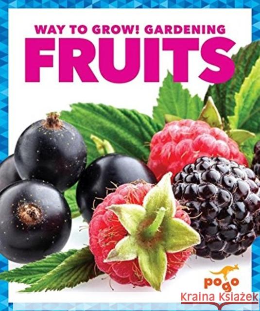 Fruits Rebecca Pettiford 9781620312322 Pogo