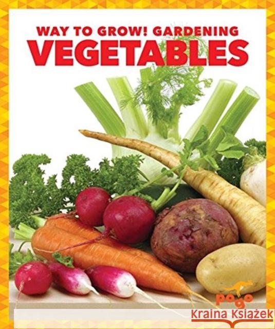 Vegetables Rebecca Pettiford 9781620312339 Jump! Incorporated