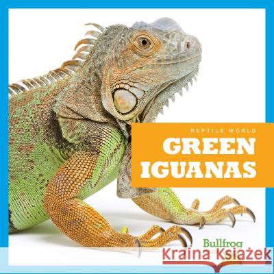 Green Iguanas Vanessa Black Cari Meister 9781620313831 Bullfrog Books