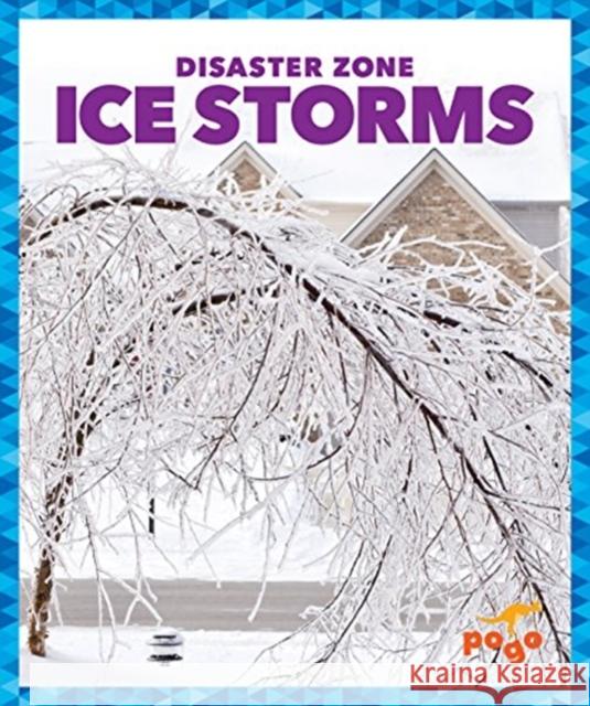 Ice Storms Vanessa Black Cari Meister 9781620313992 Jump! Inc.