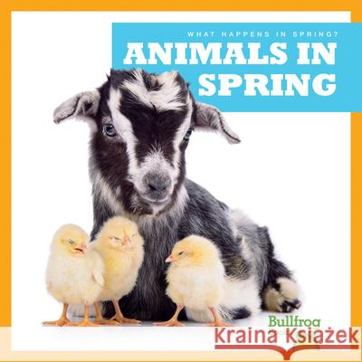 Animals in Spring Jennifer Fretland VanVoorst 9781620314784 Bullfrog Books