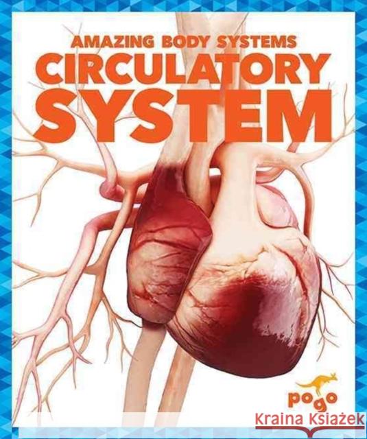 Circulatory System Karen Latchana Kenney 9781620315576 Jump! Incorporated