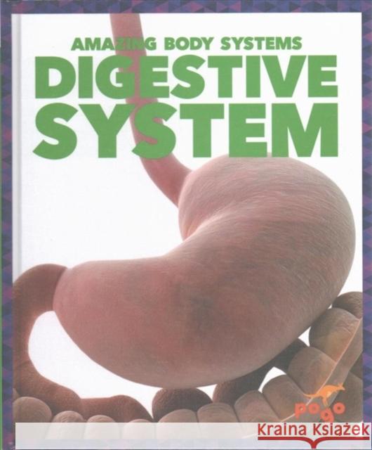 Digestive System Karen Latchana Kenney 9781620315583 Jump! Inc.