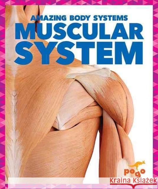 Muscular System Karen Latchana Kenney 9781620315590 Jump! Inc.