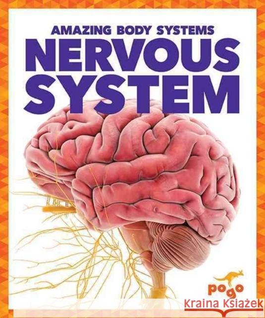 Nervous System Karen Latchana Kenney 9781620315606 Jump! Inc.