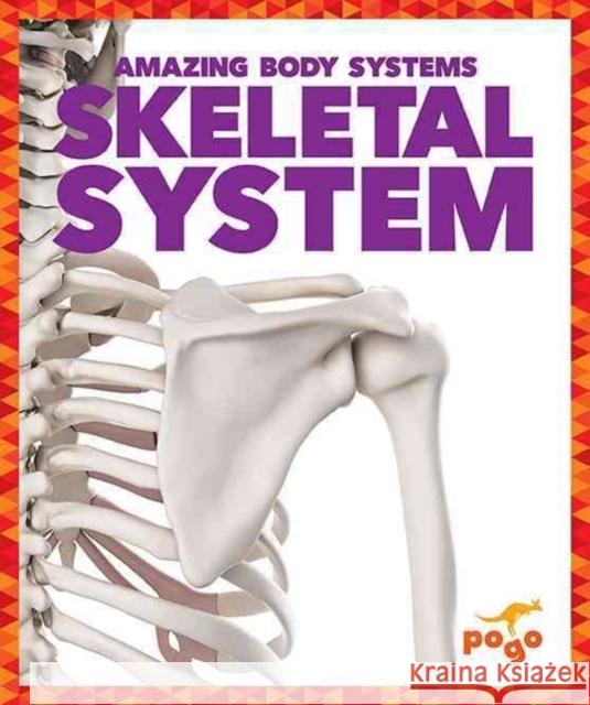 Skeletal System Karen Latchana Kenney 9781620315620 Jump! Inc.