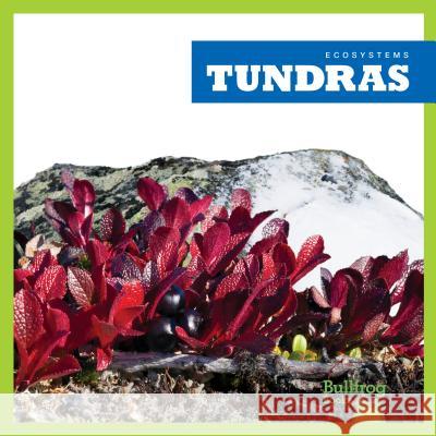 Tundras Nadia Higgins 9781620316825 Jump! Inc.