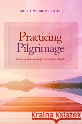 Practicing Pilgrimage Brett Webb-Mitchell 9781620329481 Cascade Books