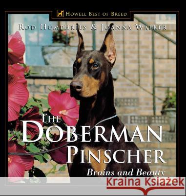 The Doberman Pinscher: Brains and Beauty Joanna Walker 9781620457306