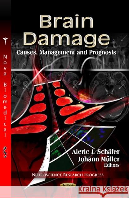 Brain Damage: Causes, Management & Prognosis Aleric J Schäfer, Johann Müller 9781620814079 Nova Science Publishers Inc