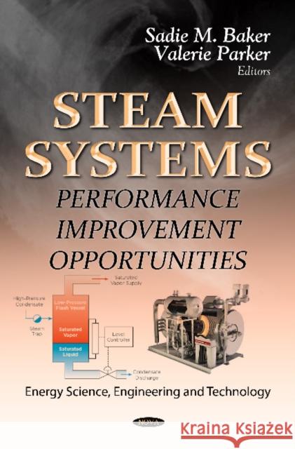 Steam Systems: Performance Improvement Opportunities Sadie M Baker, Valerie Parker 9781620815632