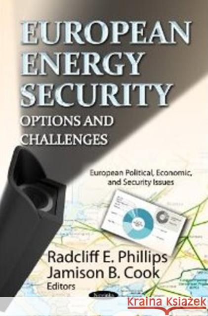 European Energy Security: Options & Challenges Radcliff E Phillips, Jamison B Cook 9781620818145 Nova Science Publishers Inc