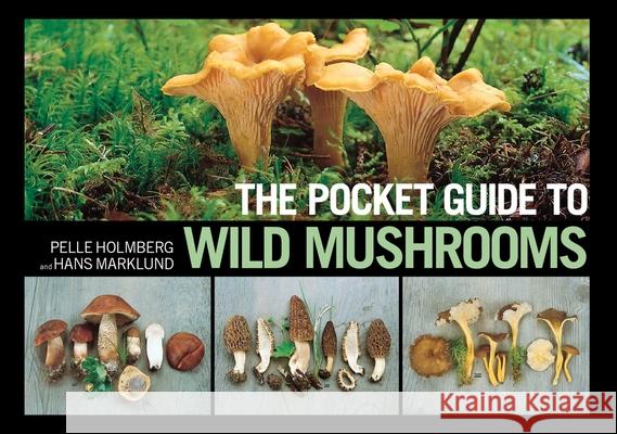 The Pocket Guide to Wild Mushrooms: Helpful Tips for Mushrooming in the Field Pelle Holmberg Hans Marklund 9781620877319 Skyhorse Publishing