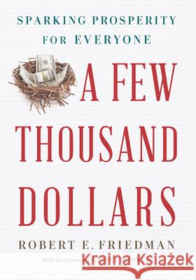 A Few Thousand Dollars: Sparking Prosperity for Everyone  9781620974032 New Press
